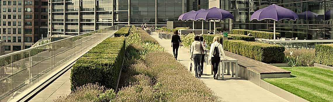 Yoğun yeşil çatılar